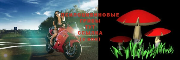 хмурый Алексин