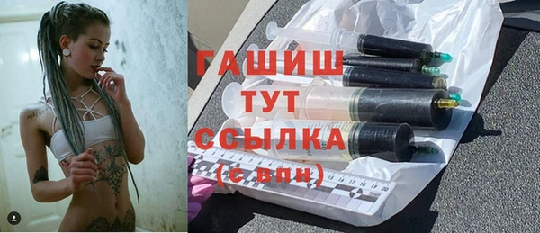 прущие грибы Абаза