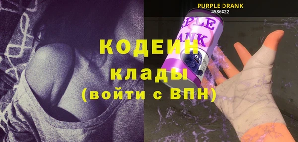 хмурый Алексин