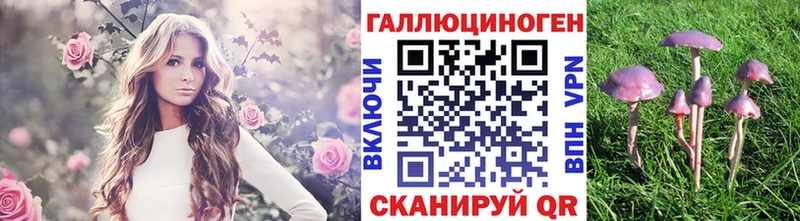 гидра вход  Лысково  Галлюциногенные грибы Psilocybine cubensis  где продают наркотики 